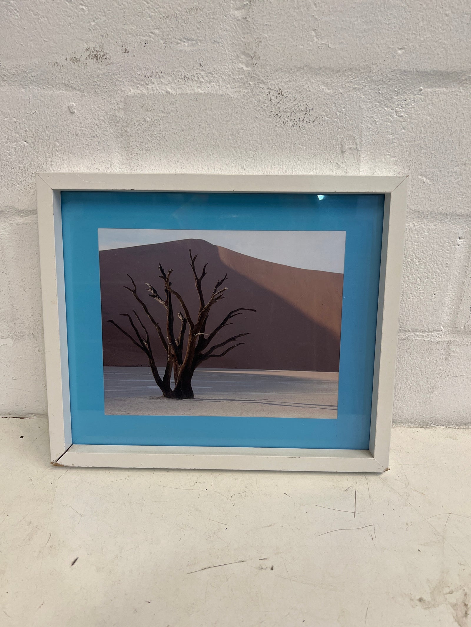Desert Tree White Framed Artwork 34 x 30cm - 2ndhandwarehouse.com