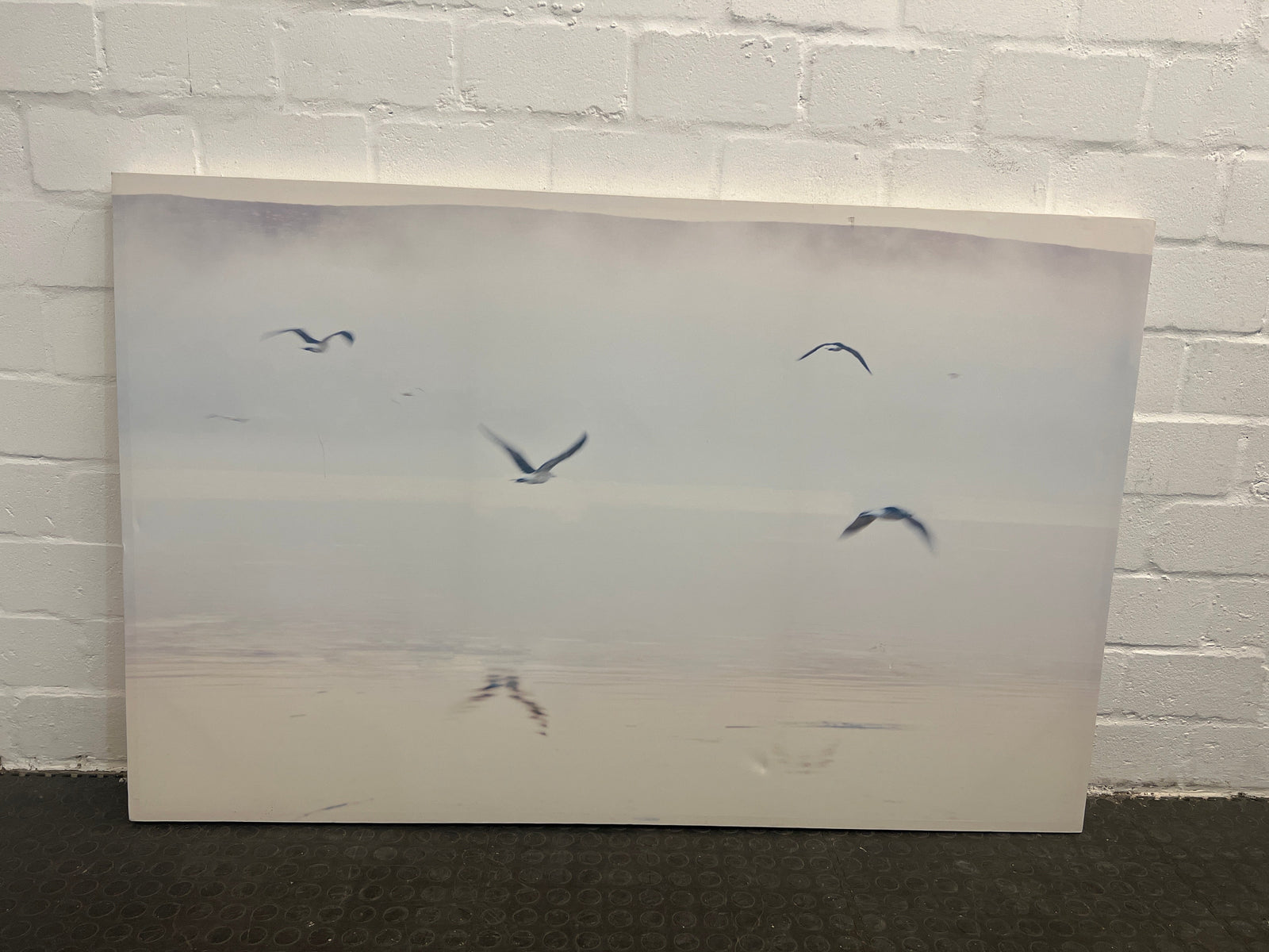 Seagulls on White Canvas Artwork (Width: 140cm) (Height: 93cm)