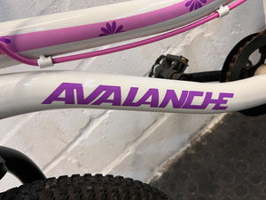 Avalanche Kids Bicycle (with Detachable Training Wheels)