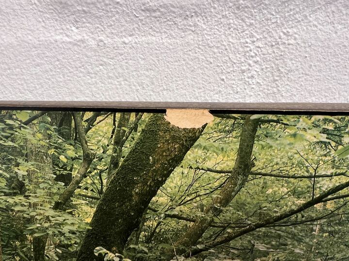 Nature River Stream Photo Print in Wooden Frame (Damaged) (Width: 88cm) (Height: 58cm) - 2ndhandwarehouse.com