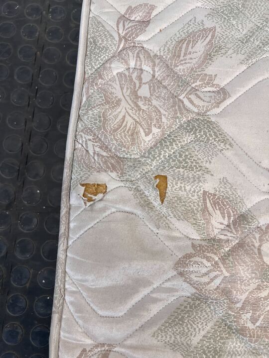 DualFlex King Sized White Patterned Mattress (Stained with Tears) - 2ndhandwarehouse.com