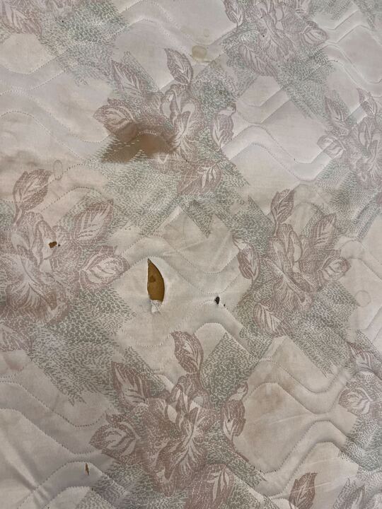 DualFlex King Sized White Patterned Mattress (Stained with Tears) - 2ndhandwarehouse.com