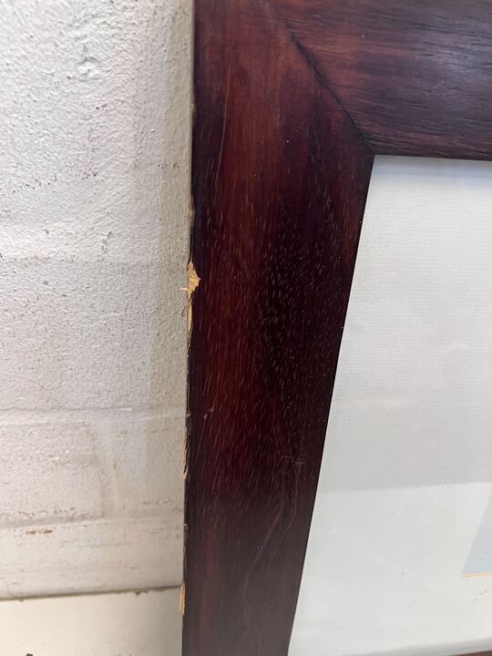 Blue Fern in Dark Thick Wooden Frame (Minor Chip) (Width: 50cm)(Height: 50cm)