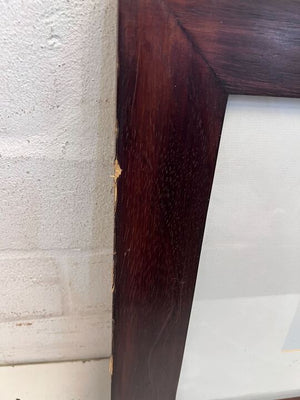 Blue Fern in Dark Thick Wooden Frame (Minor Chip) (Width: 50cm)(Height: 50cm)