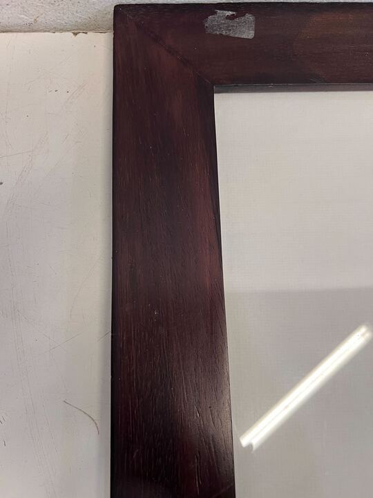 Blue Fern in Dark Thick Wooden Frame (Minor Chip) (Width: 50cm)(Height: 50cm)