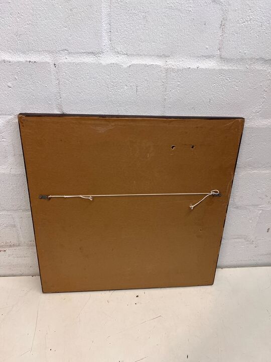 Blue Fern in Dark Thick Wooden Frame (Minor Chip) (Width: 50cm)(Height: 50cm)