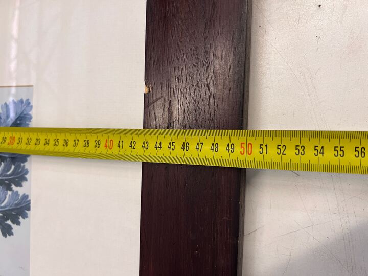 Blue Fern in Dark Thick Wooden Frame (Minor Chip) (Width: 50cm)(Height: 50cm)