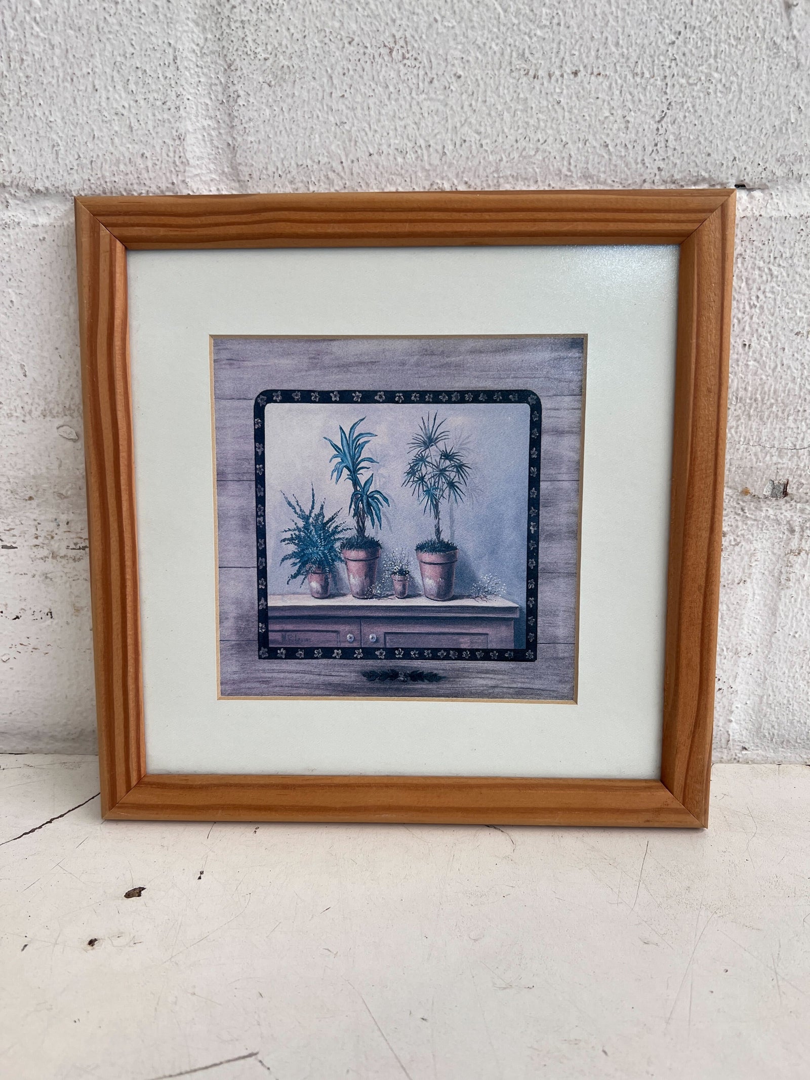Two Big Two Small Potted Plants Reaching Up Framed Print (Width: 25cm)(Height: 25cm)