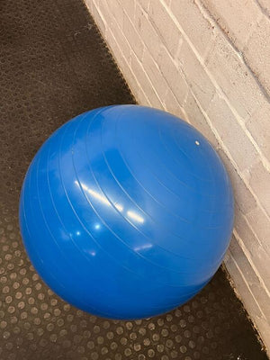 Yoga Balance Exercise Blue Gym Ball