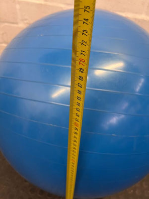 Yoga Balance Exercise Blue Gym Ball