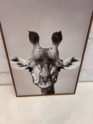 Stencil Styled Baby Giraffe Sketch Print (Width: 40cm)(Height: 60cm)