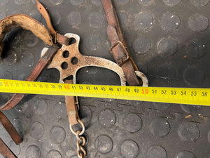 Vintage Leather Horse Bridle with Metal Hardware – Rustic Charm - 2ndhandwarehouse.com