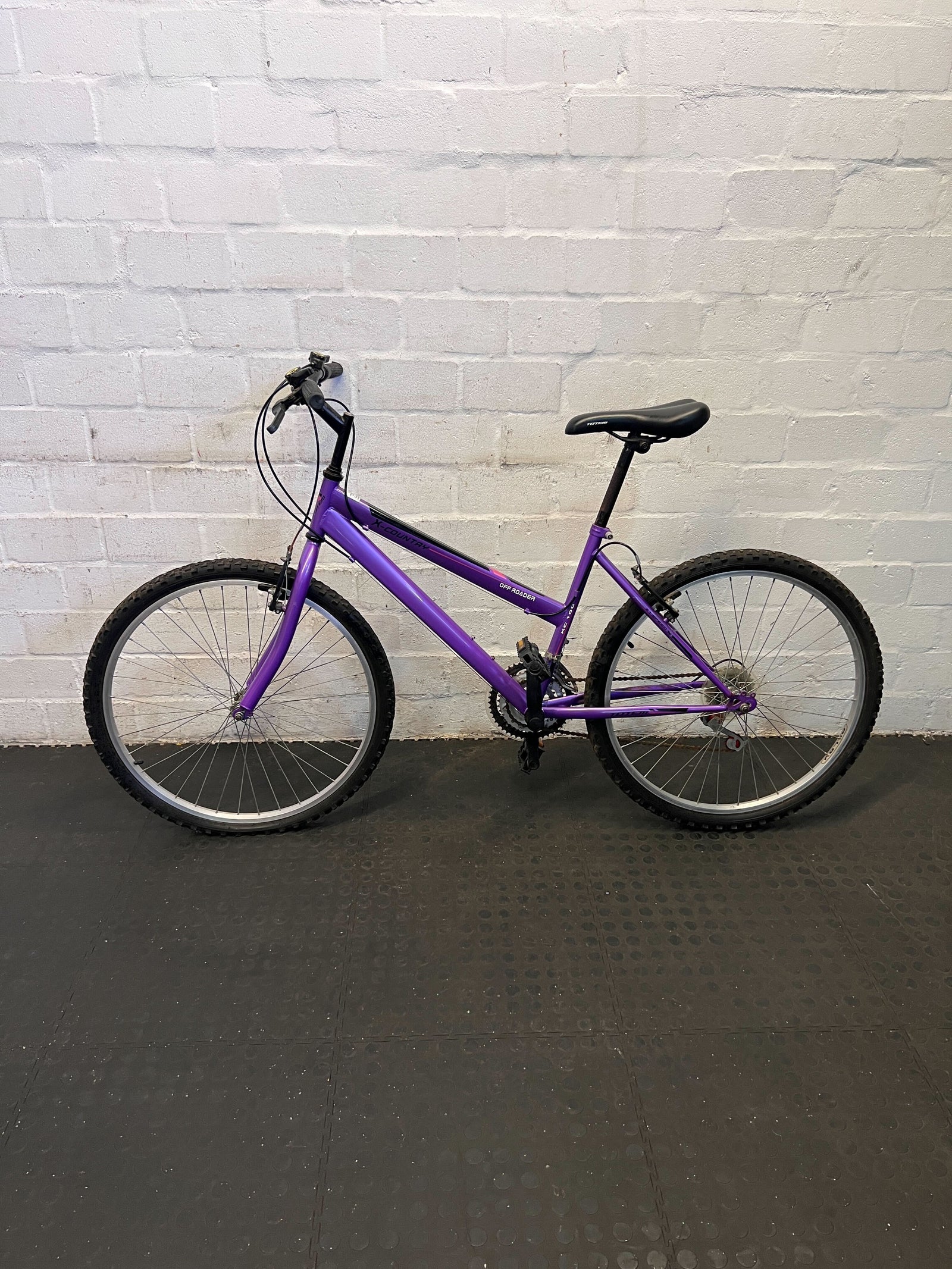 Vibrant Purple Mountain Bike – Slight Wear, Ready for Adventure!