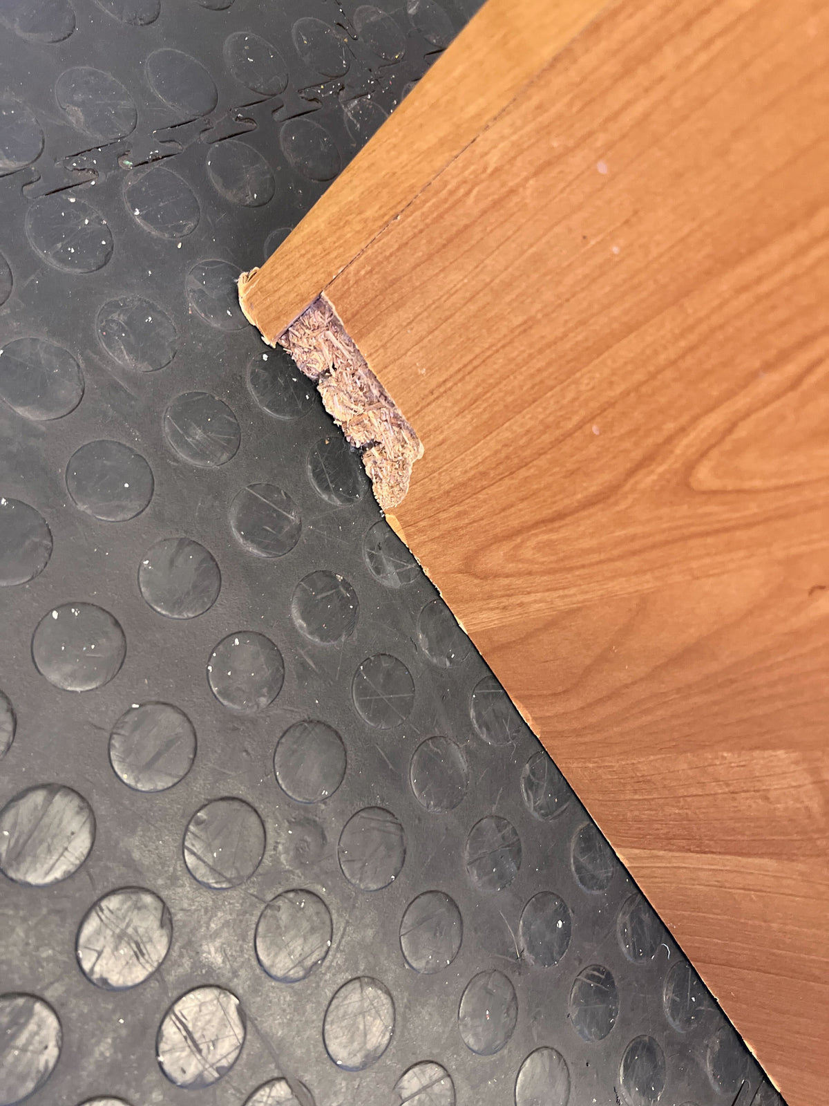 Versatile Wooden Display Cabinet with Glass Doors