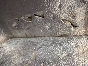 Reliable Grey Chest Freezer - Spacious Storage Solution