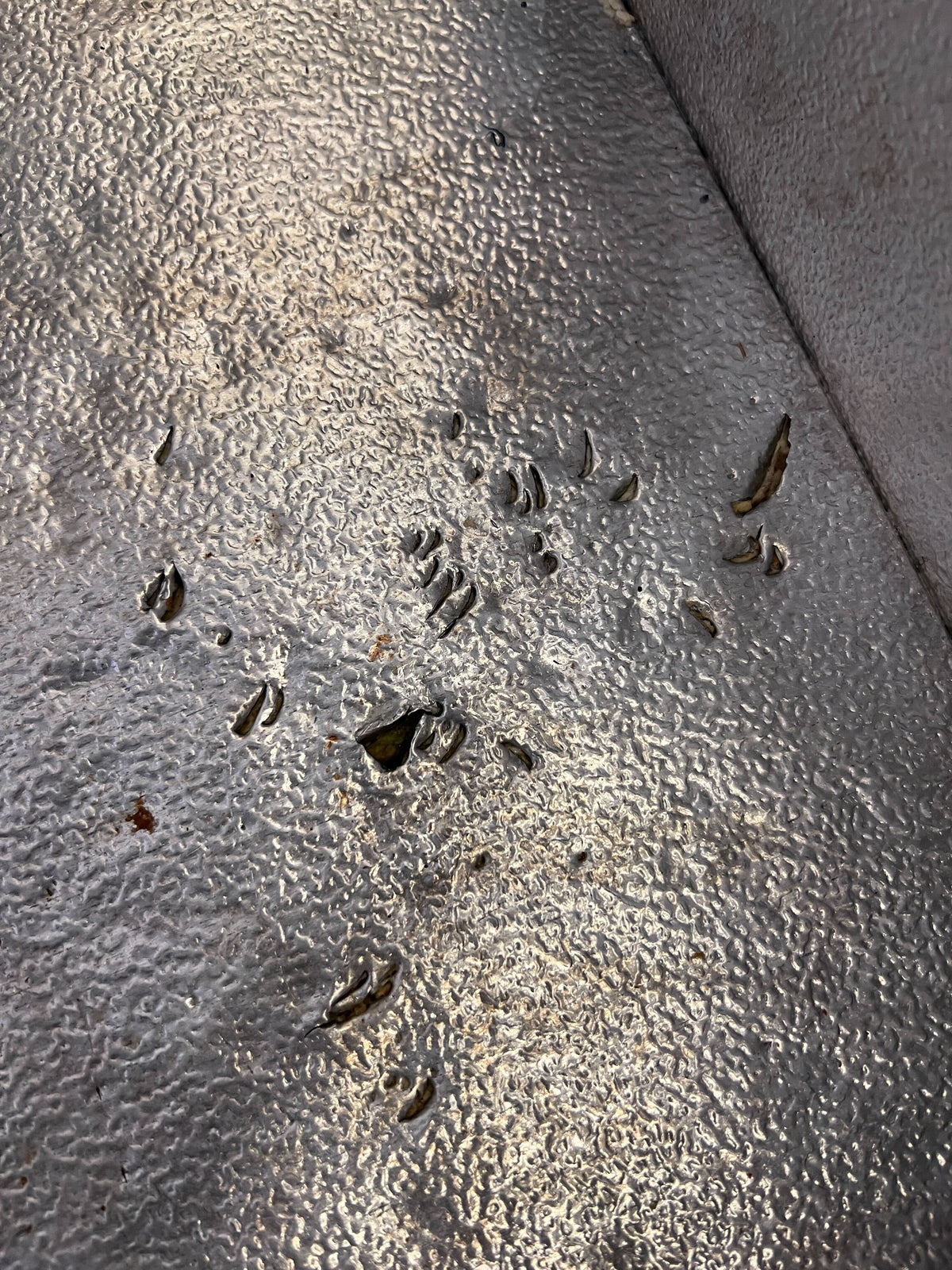 Reliable Grey Chest Freezer - Spacious Storage Solution