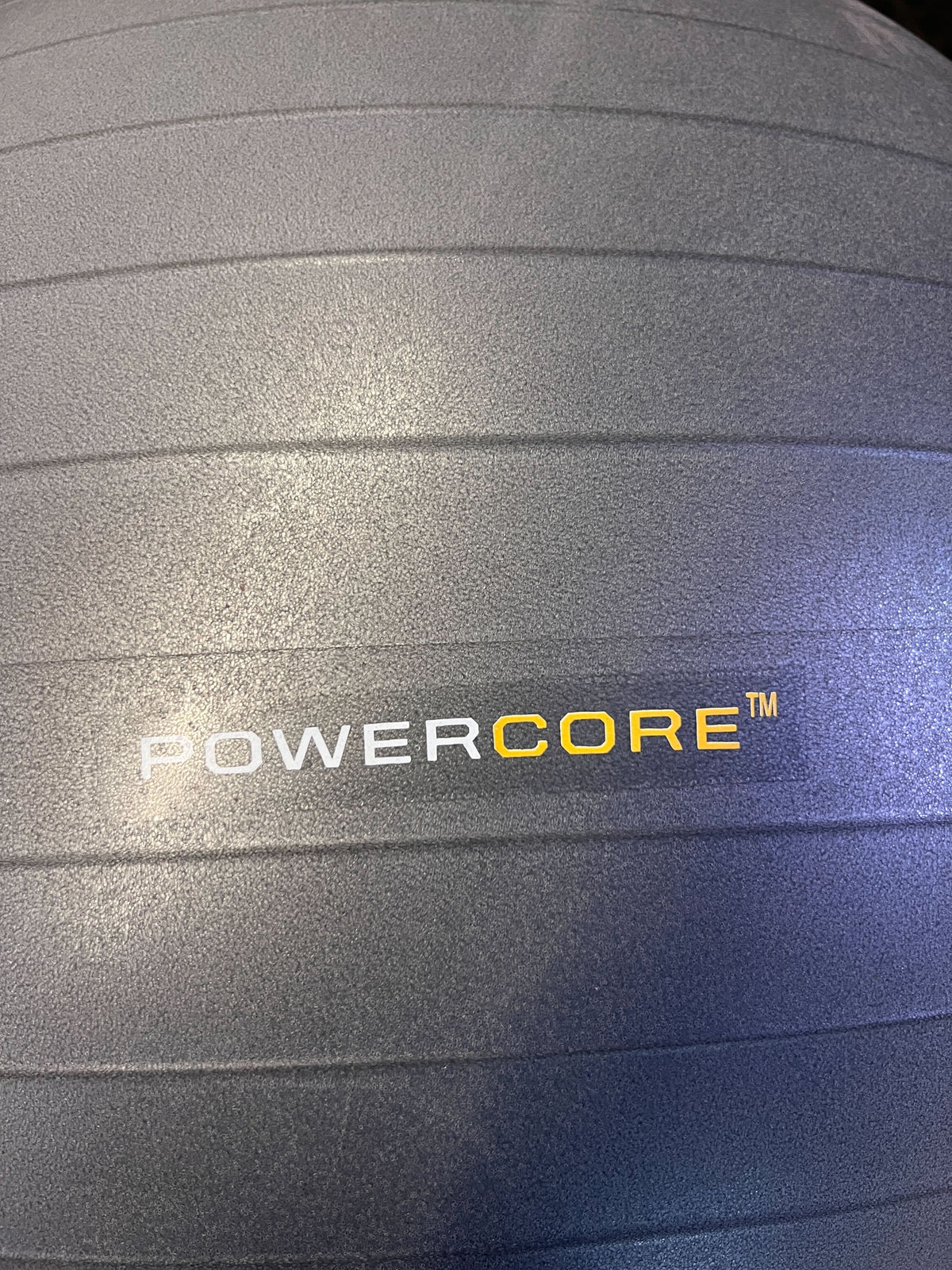 Everlast 75cm Grey Exercise Ball - Pre-Loved Fitness