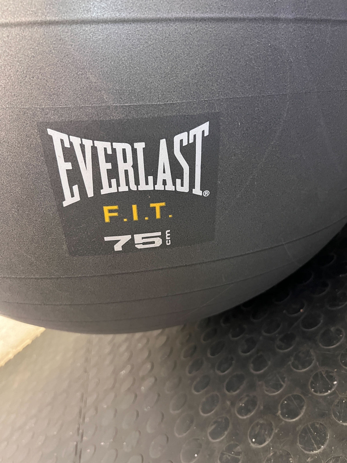 Everlast 75cm Grey Exercise Ball - Pre-Loved Fitness