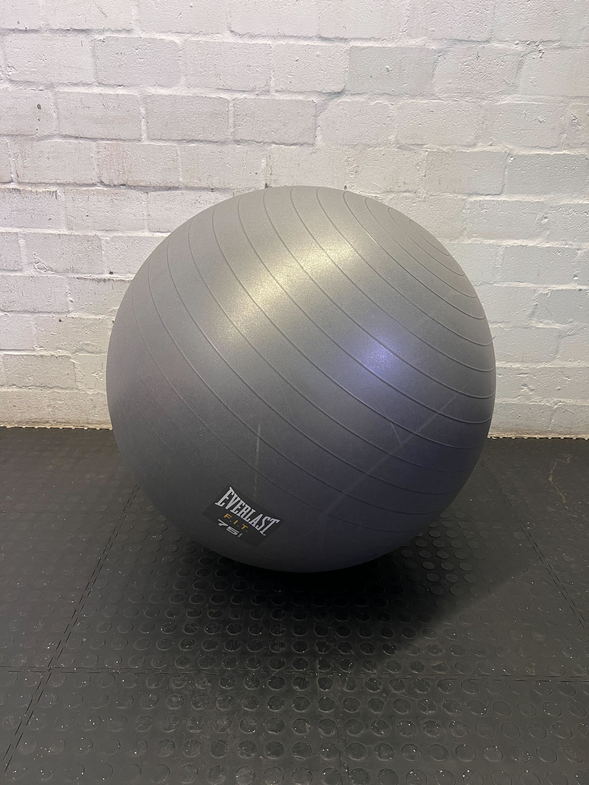 Everlast 75cm Grey Exercise Ball - Pre-Loved Fitness