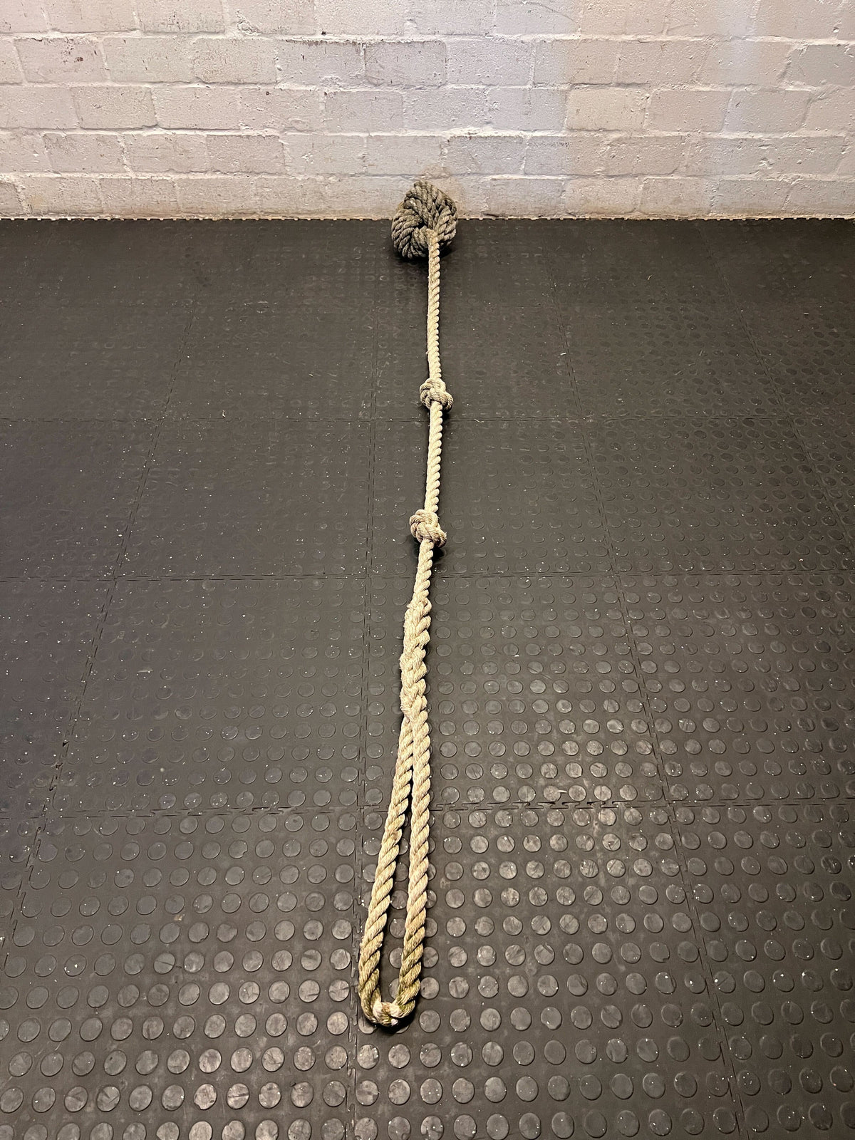 Tree Rope Swing - 2ndhandwarehouse.com