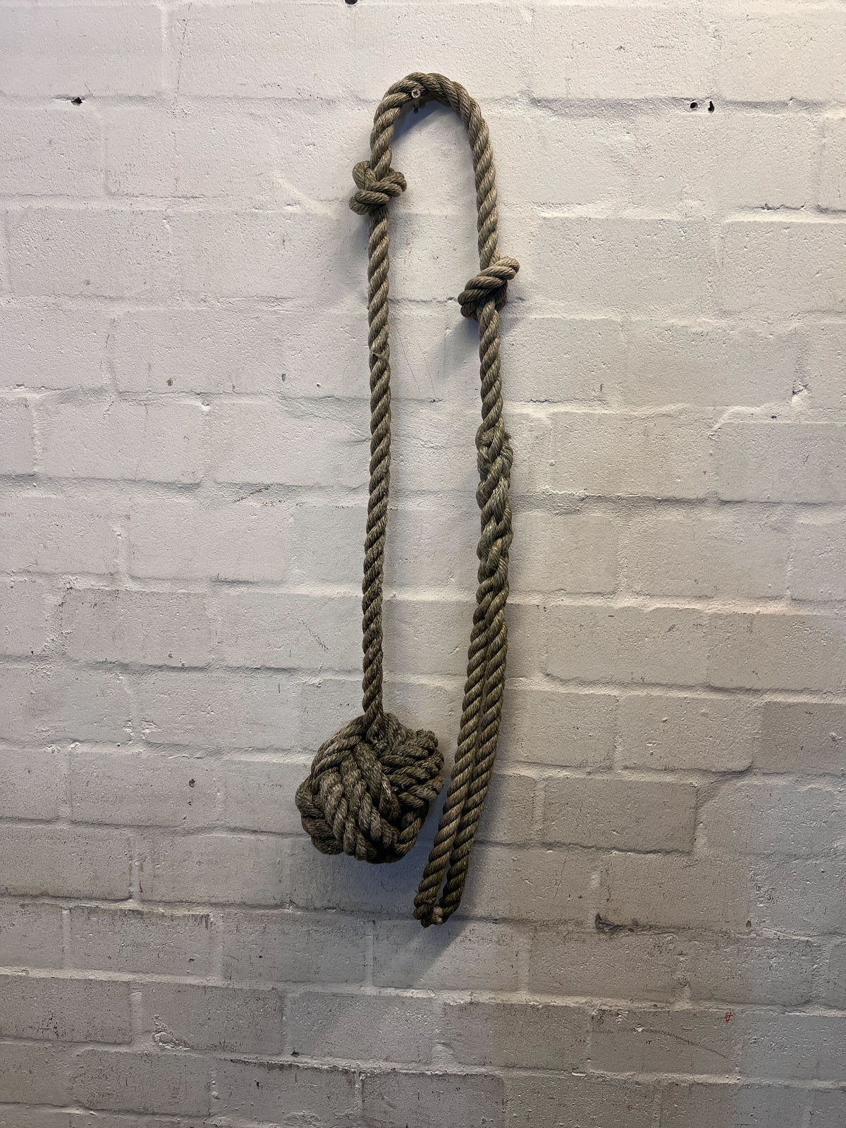 Tree Rope Swing - 2ndhandwarehouse.com