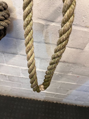 Tree Rope Swing - 2ndhandwarehouse.com