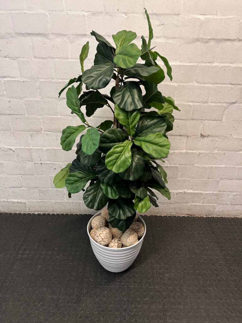 Artificial Fiddle Leaf Fig Plant in White Ribbed Pot — Clean Condition