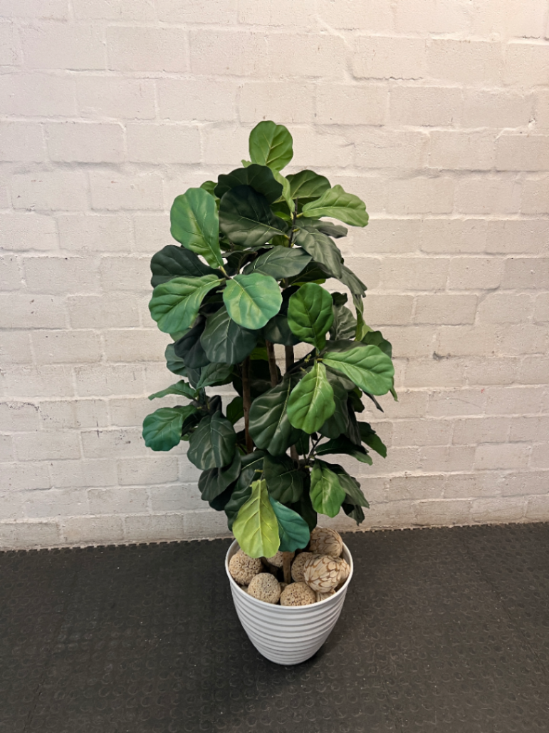 Artificial Fiddle Leaf Fig Plant in White Ribbed Pot — Clean Condition