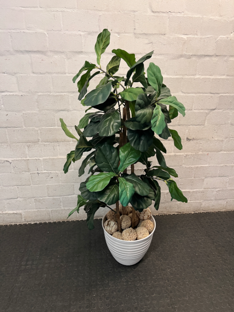 Artificial Fiddle Leaf Fig Plant in White Ribbed Pot — Clean Condition