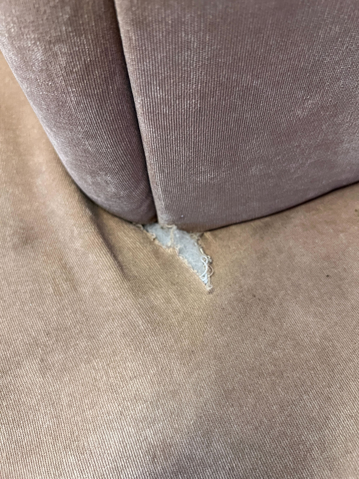 Elegant Blush Tufted Sectional Sofa with Chaise & Gold Legs