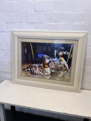 Framed Art Print of Ducks - Elegant White Frame, Minor Scuffs