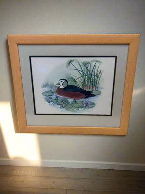 Framed Watercolor Duck Print - Elegant Nature Artwork - 2ndhandwarehouse.com