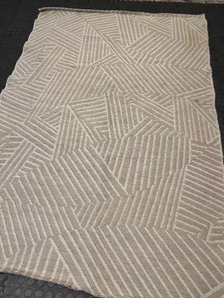 Geometric Pattern Woven Area Rug in Neutral Beige