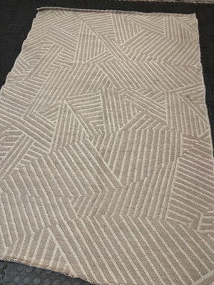 Geometric Pattern Woven Area Rug in Neutral Beige