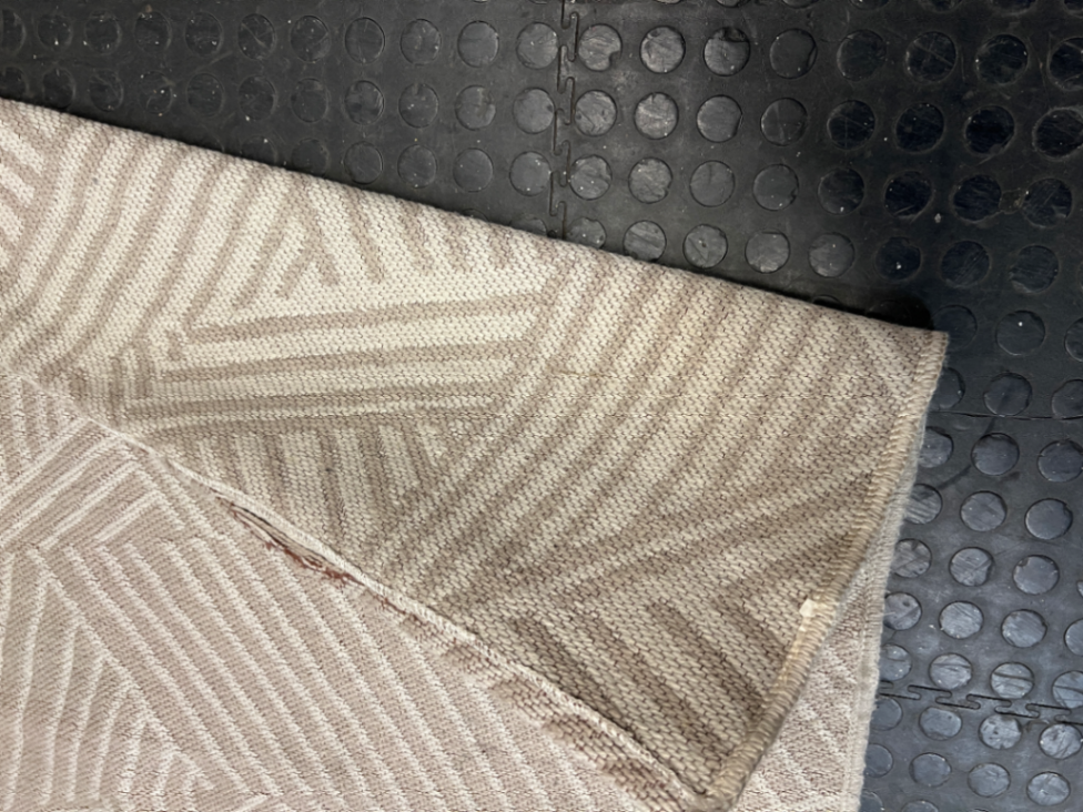Geometric Pattern Woven Area Rug in Neutral Beige