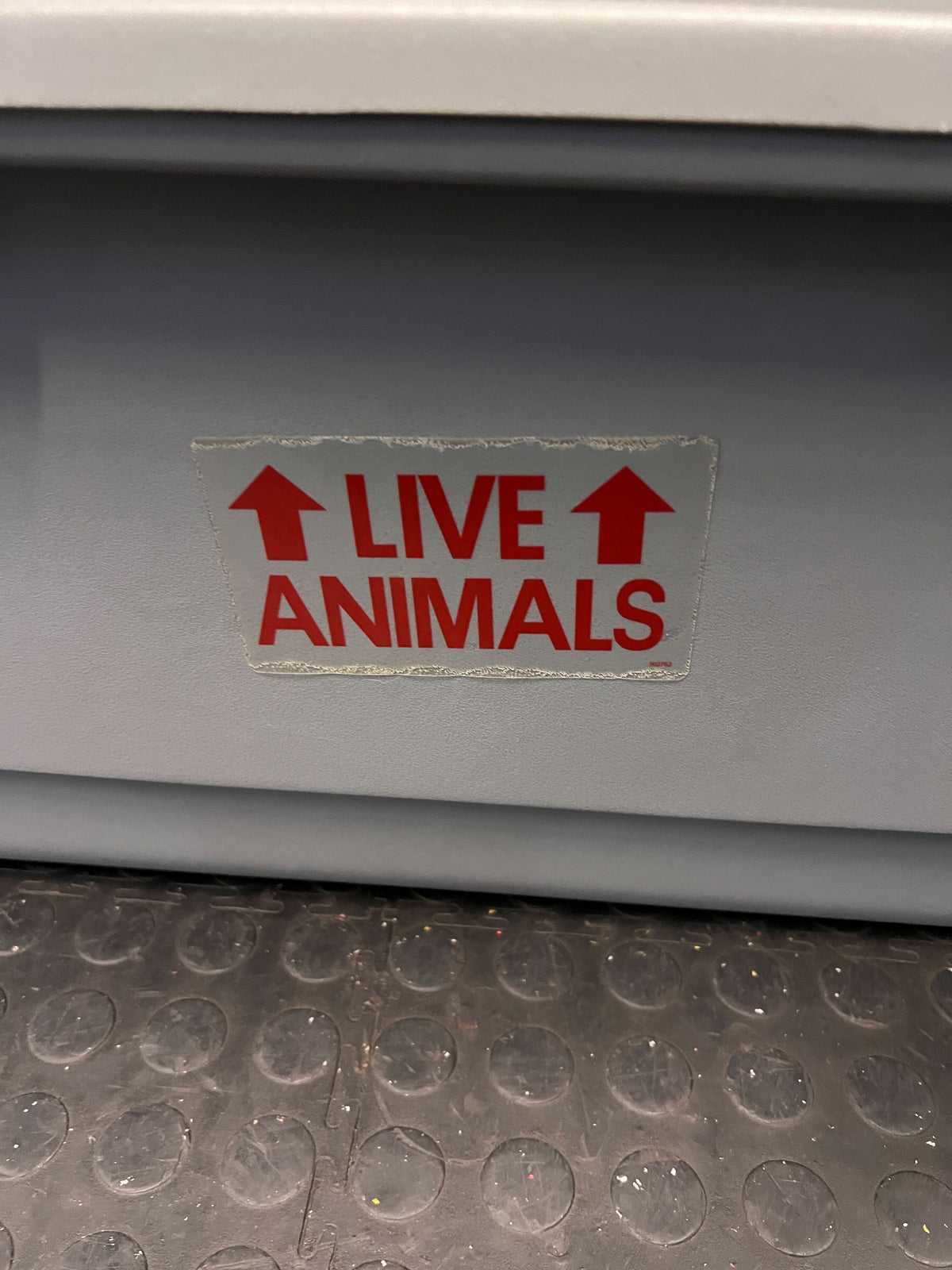 Grey Plastic Pet Carrier with Steel Door 80 BY 55 - Minor Scuff Marks