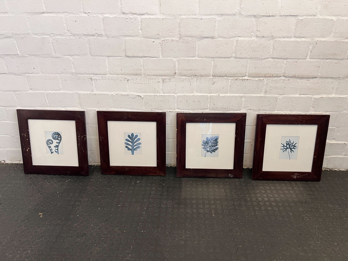 Blue Fern in Dark Thick Wooden Frame (Minor Chip) (Width: 50cm)(Height: 50cm)