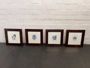 Blue Fern in Dark Thick Wooden Frame (Minor Chip) (Width: 50cm)(Height: 50cm)