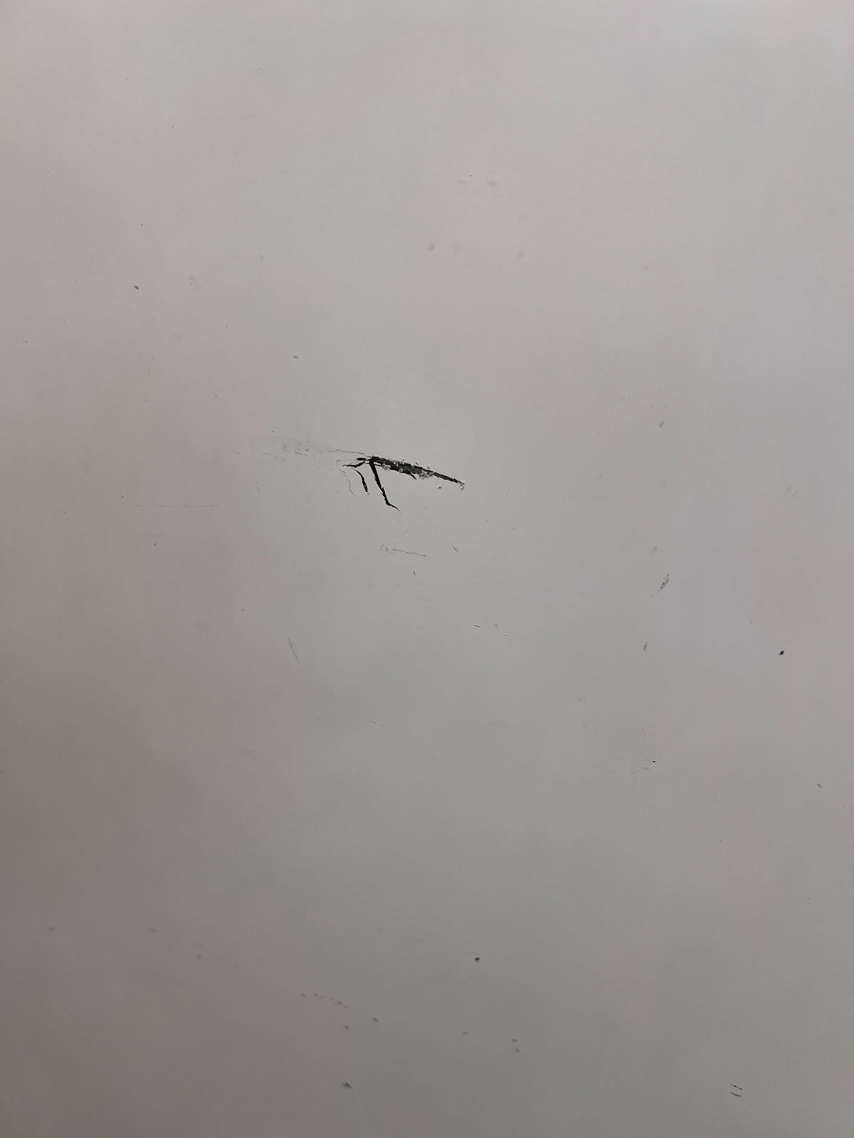 White Two-Door Fridge with Minor Scratches - REDUCED