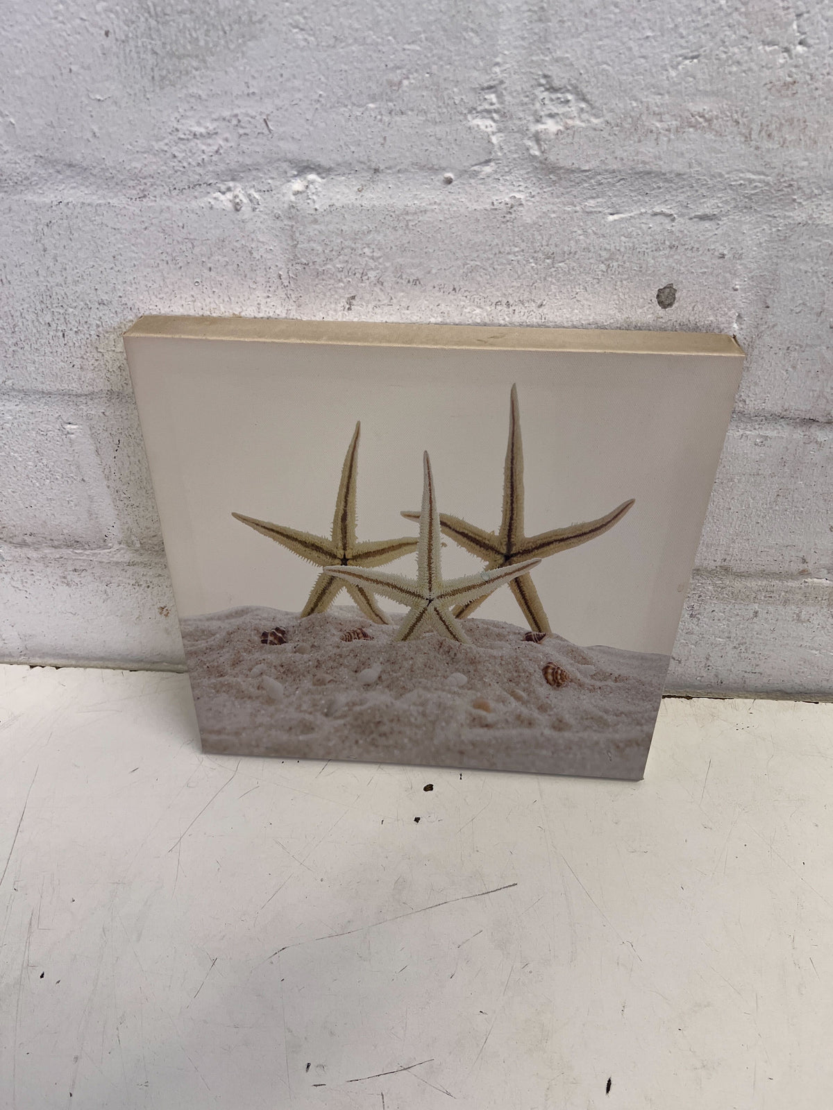 Coastal Starfish Canvas Art Print - Beach-Themed Décor