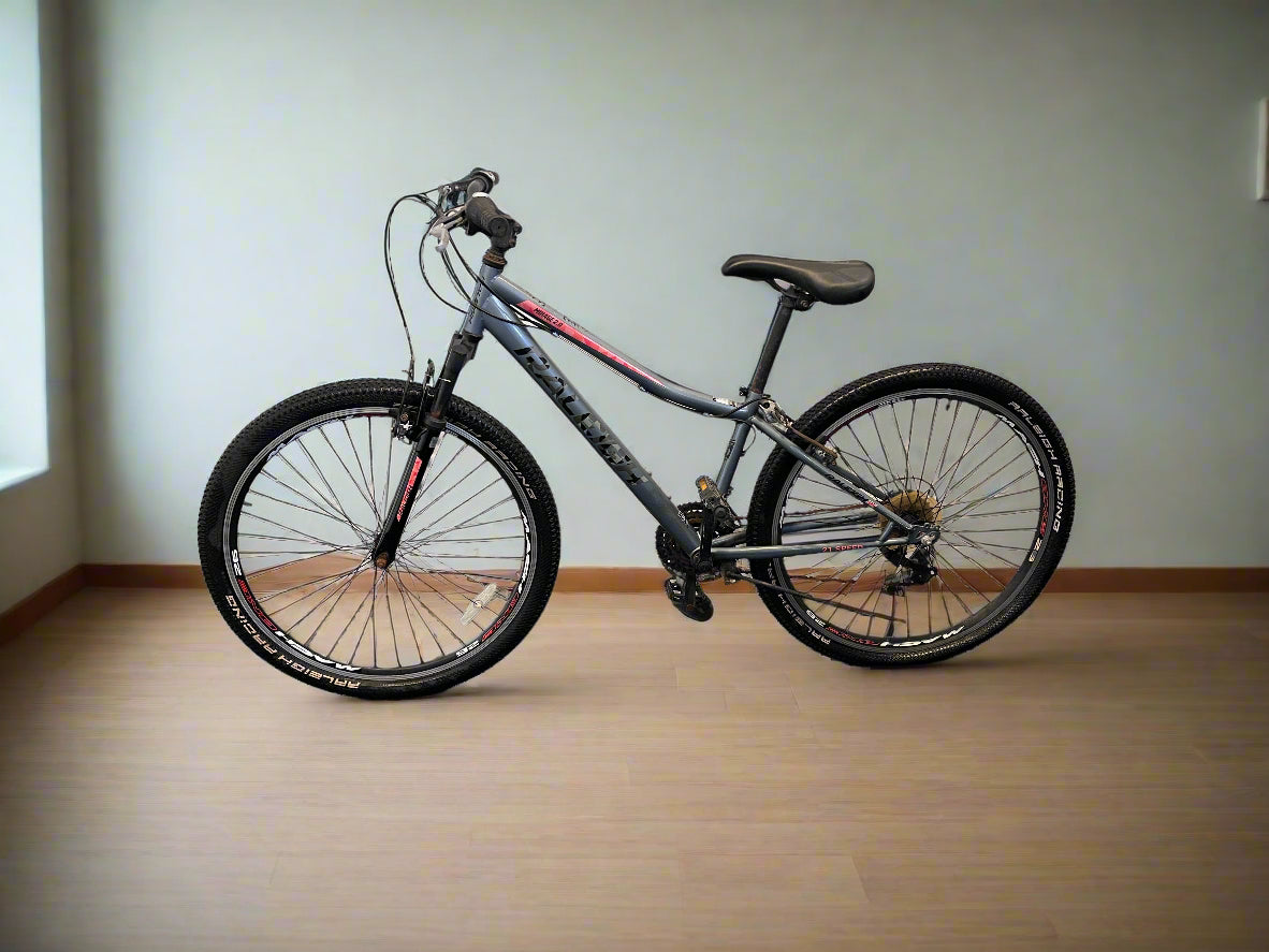 🚲 Durable Grey Mountain Bike with Smooth Ride Minor Paint
