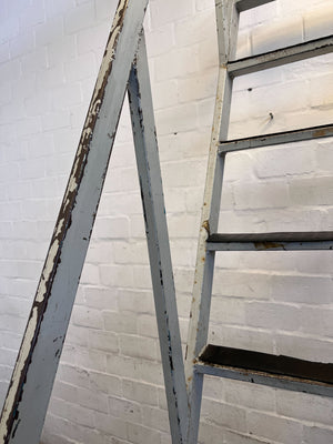 Industrial Metal Ladder