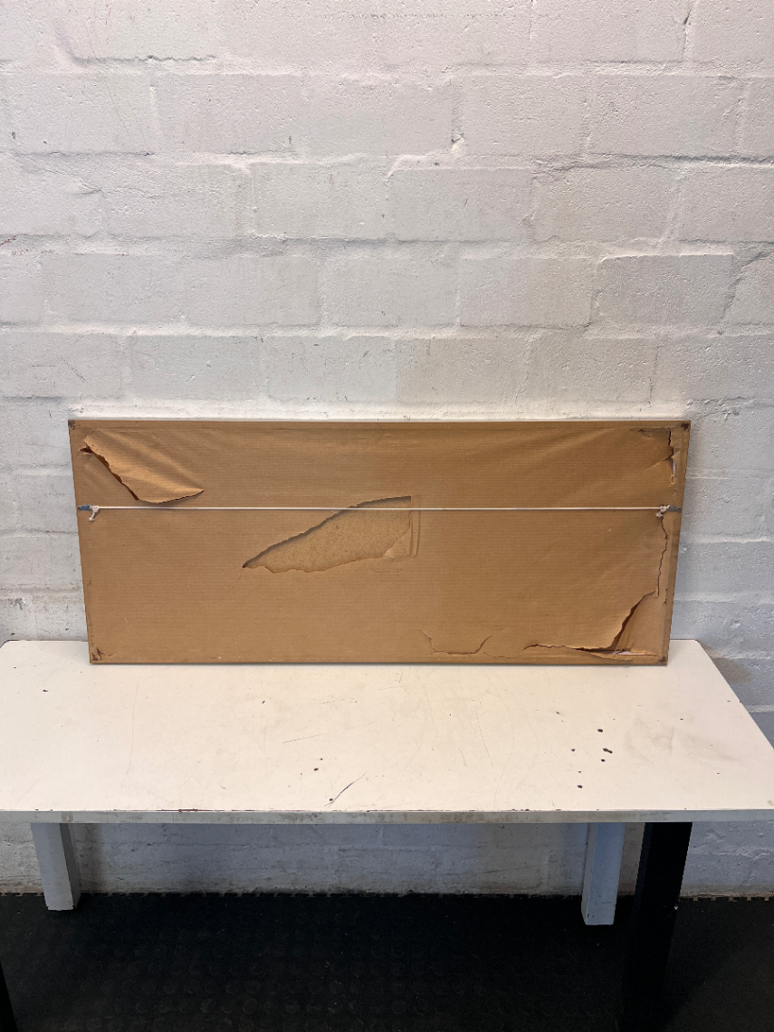 Modern Double Landscape Framed Photography - Torn Backing - 2ndhandwarehouse.com