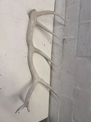 Rustic White Antler Decor Piece for Wall Mounting
