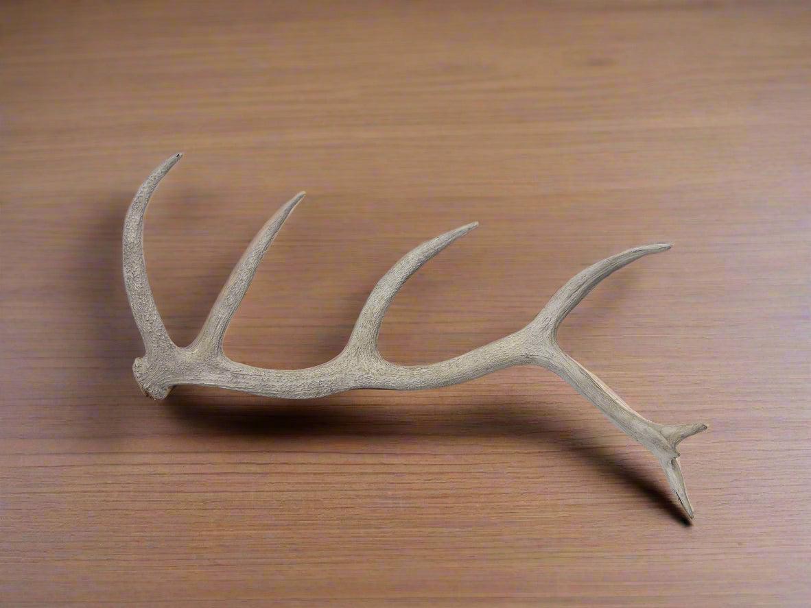 Rustic White Antler Decor Piece for Wall Mounting