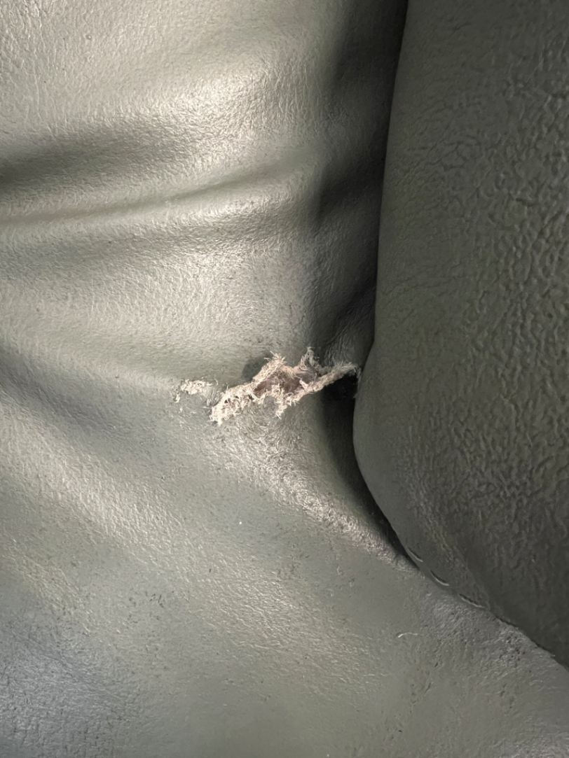 Sage Green Upholstered 1 Seater Couch — Small Tear in Leather