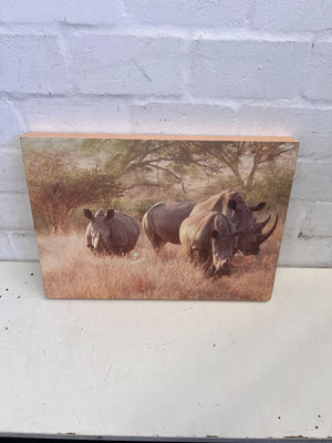 Stunning Rhino Wildlife Canvas Art - Beautiful Earthy Tones - 2ndhandwarehouse.com