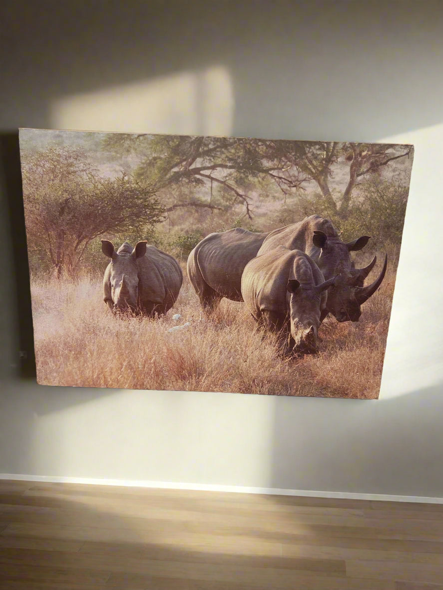 Stunning Rhino Wildlife Canvas Art - Beautiful Earthy Tones - 2ndhandwarehouse.com