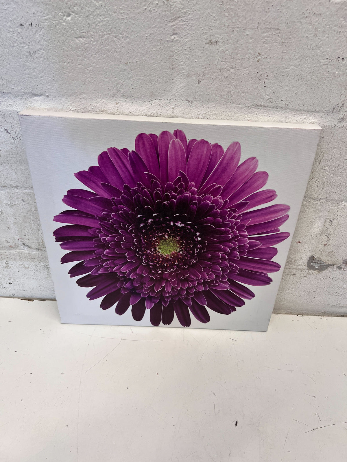 Vibrant Purple Gerbera Daisy Canvas Wall Art - 2ndhandwarehouse.com