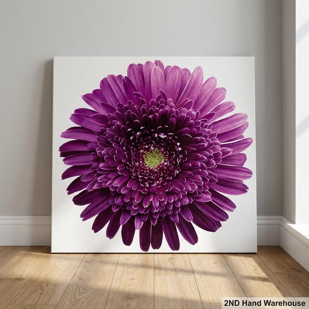 Vibrant Purple Gerbera Daisy Canvas Wall Art - 2ndhandwarehouse.com